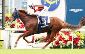 ウインマリリン、松岡とコンビ継続でオールカマーから米ブリーダーズCに参戦！