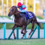 朝日杯のサリオスって相当強かったよな?なんであんな戦績に