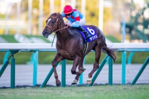 朝日杯のサリオスって相当強かったよな?なんであんな戦績に