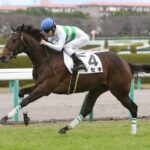 最強のG1 1勝馬ってキセキだよな?