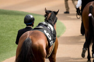 競馬で早熟ってそんなに悪いことなの?