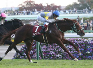 ブレークアップ、豪州遠征の鞍上コーフィールドCはレーン　メルボルンCは松山