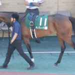 【競馬予想】[2]第58回関屋記念(GⅢ) /2023