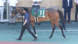 【競馬予想】[2]第58回関屋記念(GⅢ) /2023