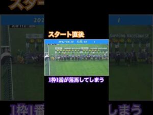 スタート直後に競走馬に振り落とされて落馬してしまう #競馬 #horseracing #ウマ娘 #落馬事故