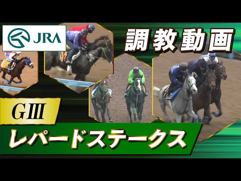 【調教動画】2023年 レパードステークス｜JRA公式