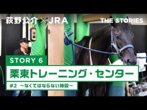 『萩野公介×JRA  THE STORIES』「STORY６ 栗東トレーニング・センター」#２ ～なくてはならない施設～ | JRA公式