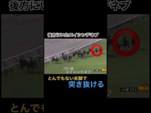 とんでもない末脚で突き抜ける#エイシンデネブ