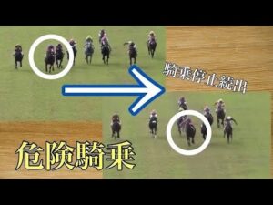 右へ左へフラフラ〜 走り9日間も騎乗停止になりました( ˊ̱˂˃ˋ̱ )