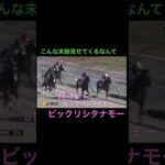 こんな末脚を見せてくれるなんて、ビックリシタナモー #競馬 #horseracing #オークス