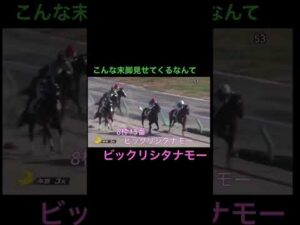 こんな末脚を見せてくれるなんて、ビックリシタナモー #競馬 #horseracing #オークス