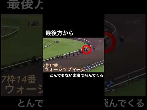 最後方からとんでもない末脚で飛んでくる #競馬 #horseracing