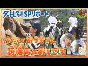 【タートピッ！SP】　はたらくおうまさん　～誘導馬のおしごと～ | JRA公式
