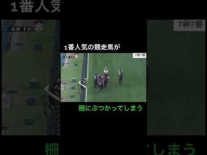 1番人気の競走馬が柵にぶつかって競走中止してしまう #競馬 #horseracing
