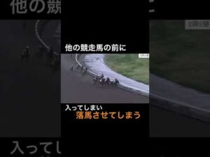 他の競走馬の前に入ってしまい落馬させてしまう
