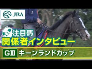 【注目馬 関係者インタビュー】2023年 キーンランドカップ｜JRA公式