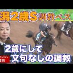 【名門〇〇厩舎の走る馬 王道の調教】競馬エイト・高橋賢司トラックマンの調教解説<新潟2歳ステークス(GⅢ)>