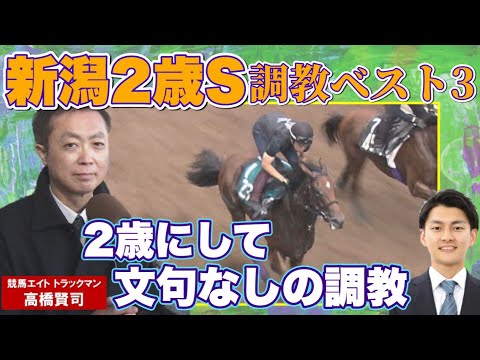 【名門〇〇厩舎の走る馬 王道の調教】競馬エイト・高橋賢司トラックマンの調教解説＜新潟２歳ステークス（GⅢ）＞