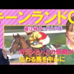【力のいる馬場でも問題なし!】キーンランドカップ(GⅢ)を元ジョッキーの細江純子さんが徹底解説!<細江純子のネタ帳>