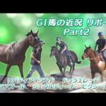 【競走馬たちの夏休み】タートピッ! GⅠ馬の近況リポート Part2 | JRA公式