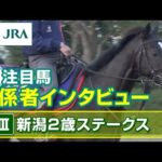 【注目馬 関係者インタビュー】2023年 新潟2歳ステークス|JRA公式