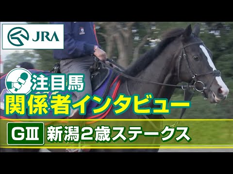【注目馬 関係者インタビュー】2023年 新潟2歳ステークス｜JRA公式