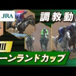 【調教動画】2023年 キーンランドカップ|JRA公式