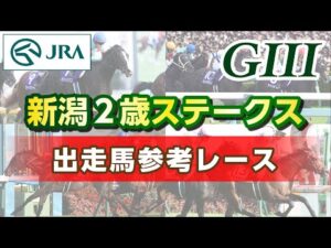 【参考レース】2023年 新潟2歳ステークス｜JRA公式
