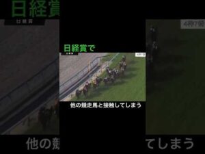 日経賞で他の競走馬と接触してしまう