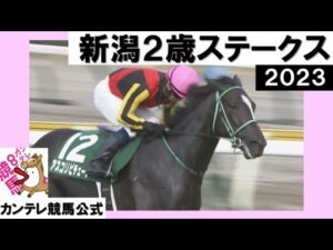 2023年 新潟２歳ステークス (GⅢ) アスコリピチェーノ【カンテレ公式】
