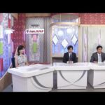 ダート競馬JAPAN|第13回|サマーチャンピオン ルーキーズサマーカップ 展望|NAR公式