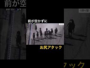 最後の直線で前が空かずに、お尻アタック