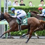 【エルムS】6番人気セキフウが差し切って勝利!重賞2勝目