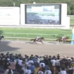 【クラスターカップ2023】結果・動画/リメイクが断然人気に応え快勝