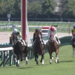 【競馬/みやこS】やっぱりラニは武豊じゃないとだめだな。この馬をアメリカG1 3着にできたのはすごい