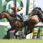 モズメイメイ、本番のスプリンターズS鞍上は武豊