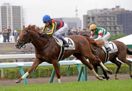 【2歳新馬】武豊がガイアメンテ大絶賛「非常に強かった。それぐらいの素材」