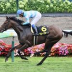 【札幌日経OP】ブローザホーン強すぎワロタ