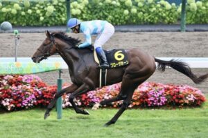 【札幌日経OP】ブローザホーン強すぎワロタ