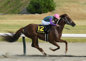 初ダートでアイコンテーラー強すぎワロタwww