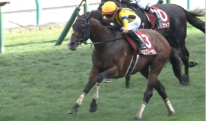 プログノーシス強すぎワロタｗｗｗ