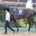 【競馬予想】[1]第58回関屋記念(GⅢ) /2023