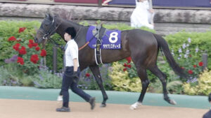 【競馬予想】[1]第58回関屋記念(GⅢ) /2023