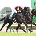 【新潟2歳S】アスコリピチェーノ強すぎてワロタwwww