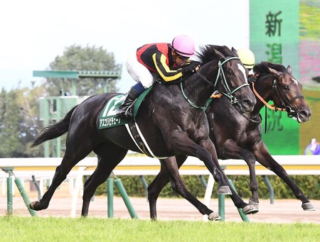 【新潟2歳S】アスコリピチェーノ強すぎてワロタwwww