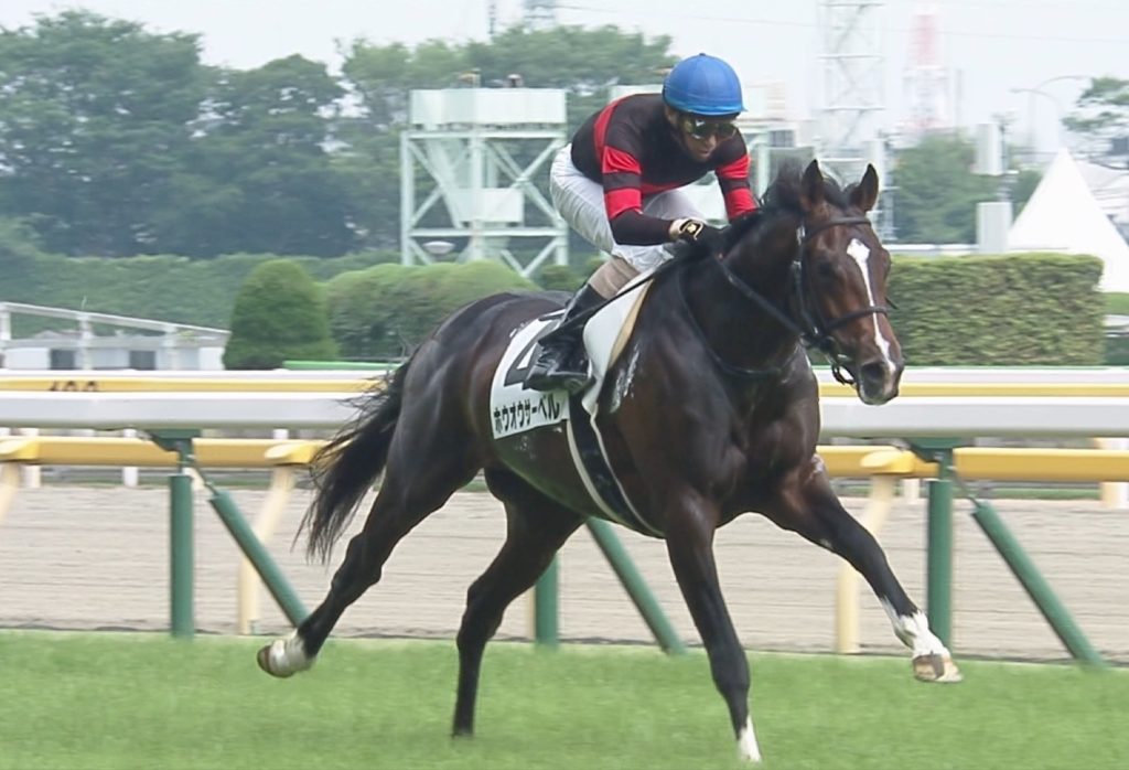 【競馬/アル共】アルゼンチン共和国杯はアルバートで絶対に固い