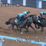 【新潟2歳ステークス2023】追い切り/抜群の動きを見せたのは