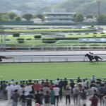 【不知火特別】3歳牝馬コンクシェルが圧勝でワロタwww