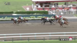 【エルムステークス2023】結果・動画/セキフウが鮮やかに差し切る