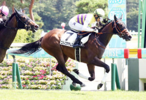 【2歳新馬】ニシノコマチムスメ西山オーナー「この馬走るよ」結果は?